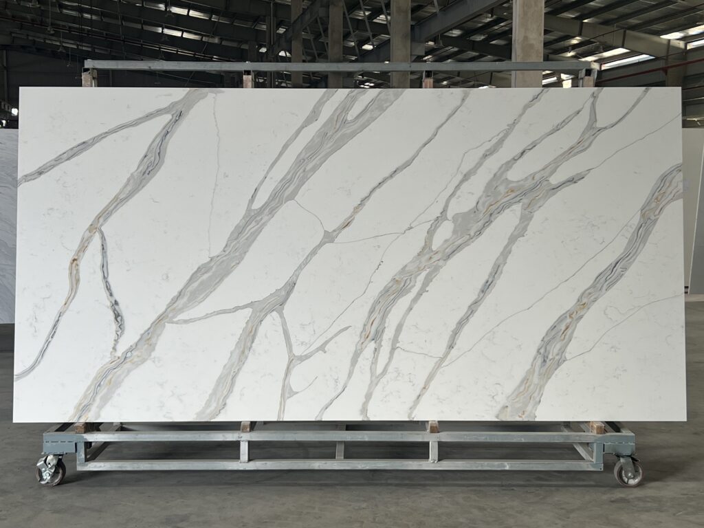 Image_20250411163713