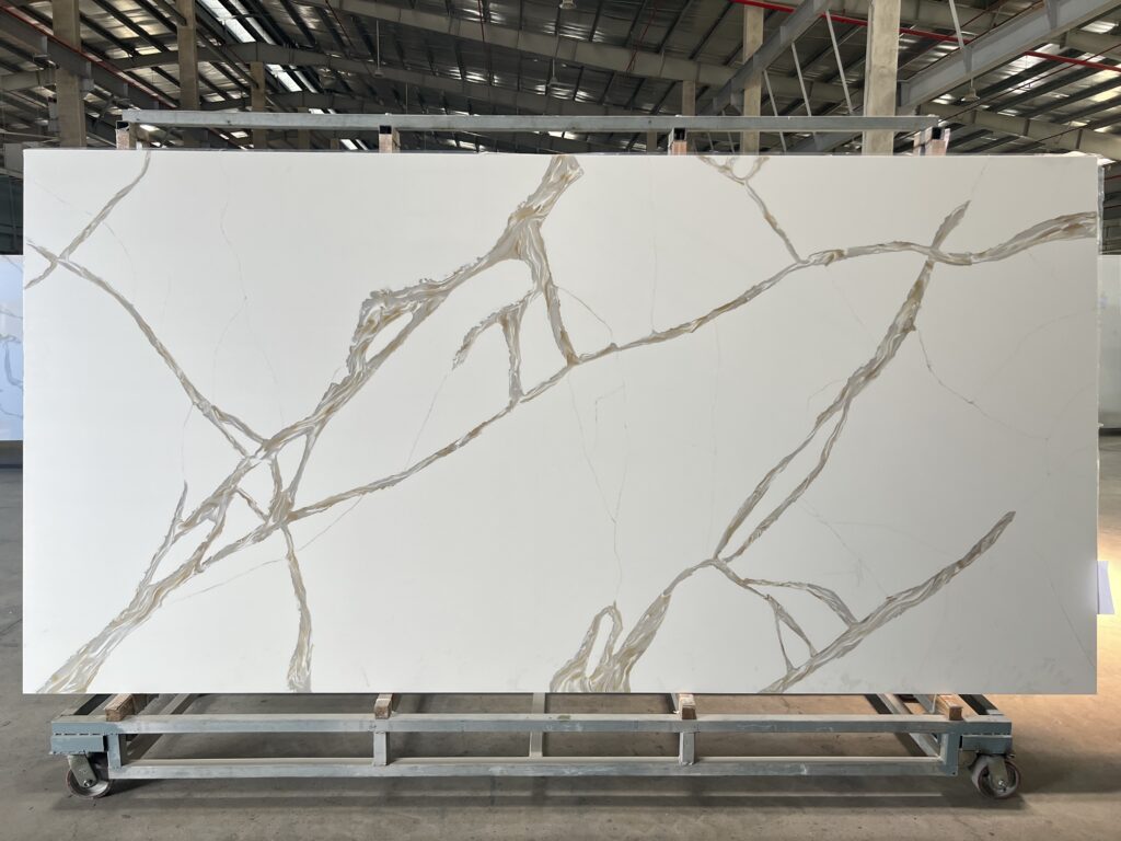 Image_20250411163733