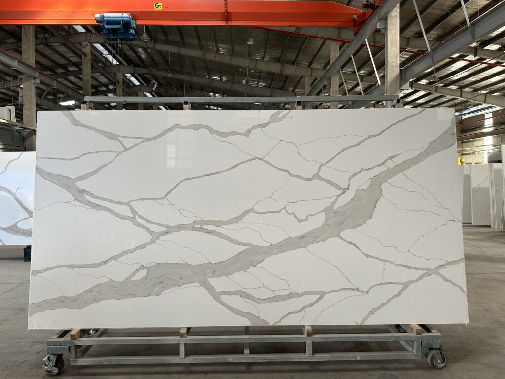 Image_20250411163745