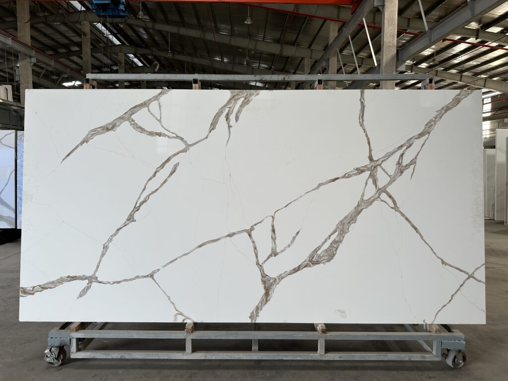 Image_20250411163746