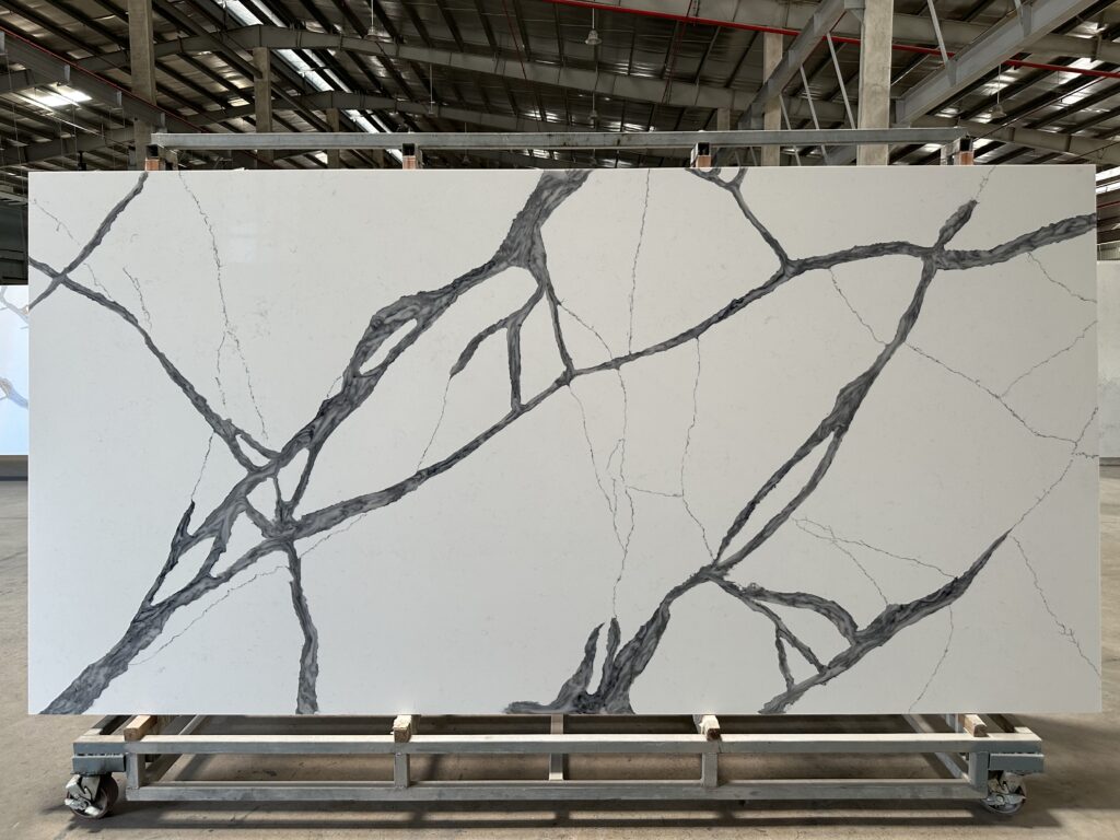 Image_20250411163748