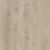 Sand Maple